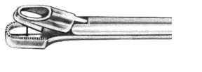 Biopsiezange Eppendorf, 20 cm